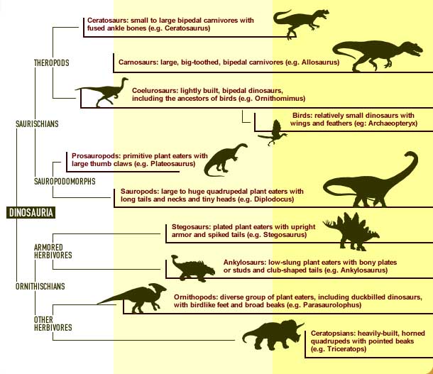 dino chart.jpg (69532 bytes)