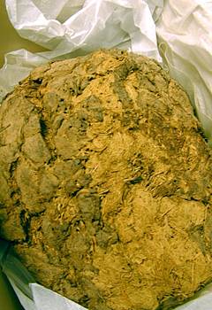 mammoth dung.jpg (21458 bytes)