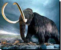 mammoth_and_clouds.jpg (12204 bytes)