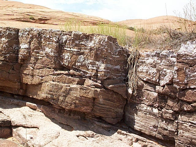 navajo limestone layer.jpg (122179 bytes)